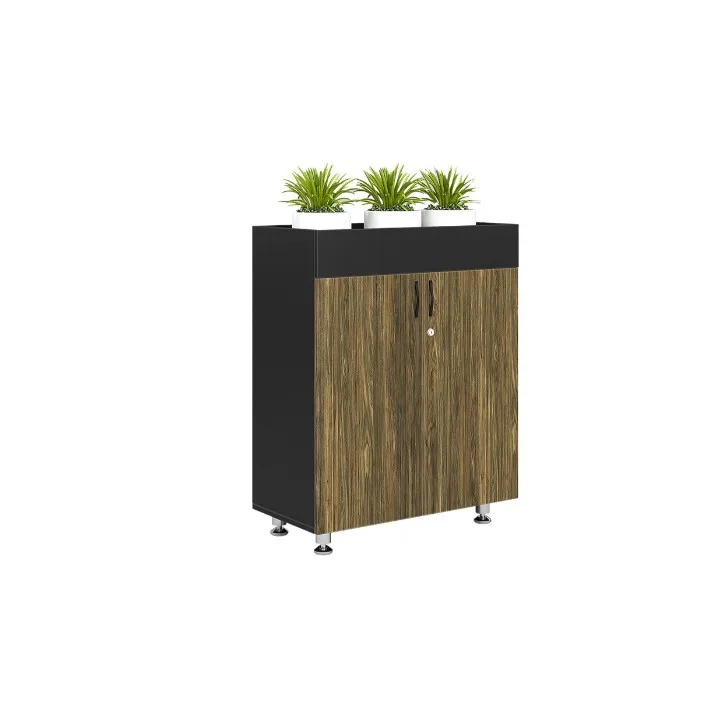TỦ THẤP VĂN PHÒNG BRI1000-2T2