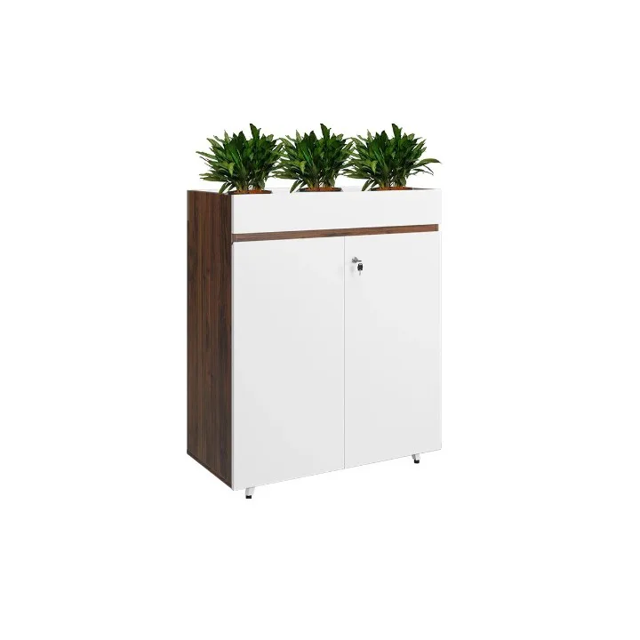TỦ THẤP VĂN PHÒNG LUX1000-2T2