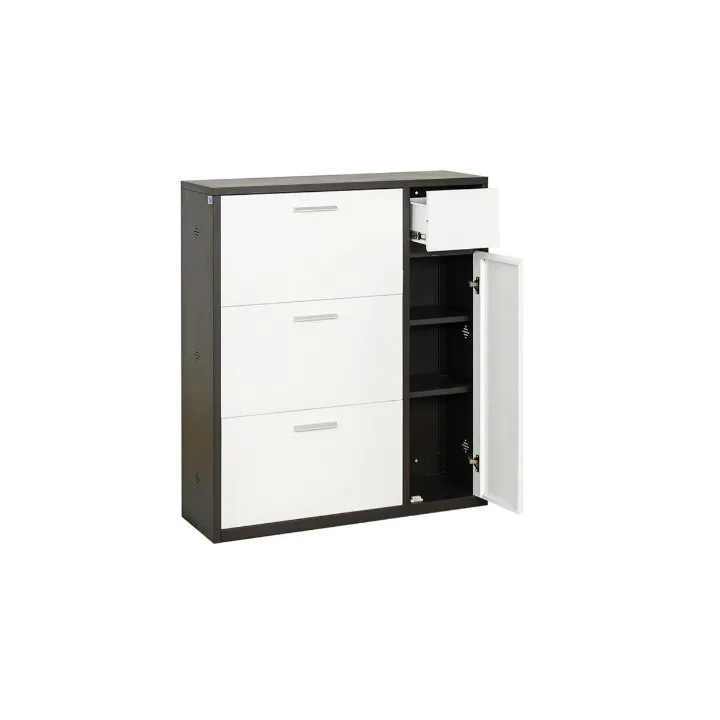 TỦ GIÀY THÉP THE ONE TG07